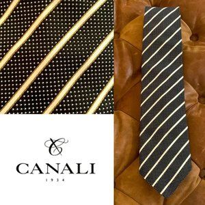 CANALI 🖤 Silk Stripe Tie